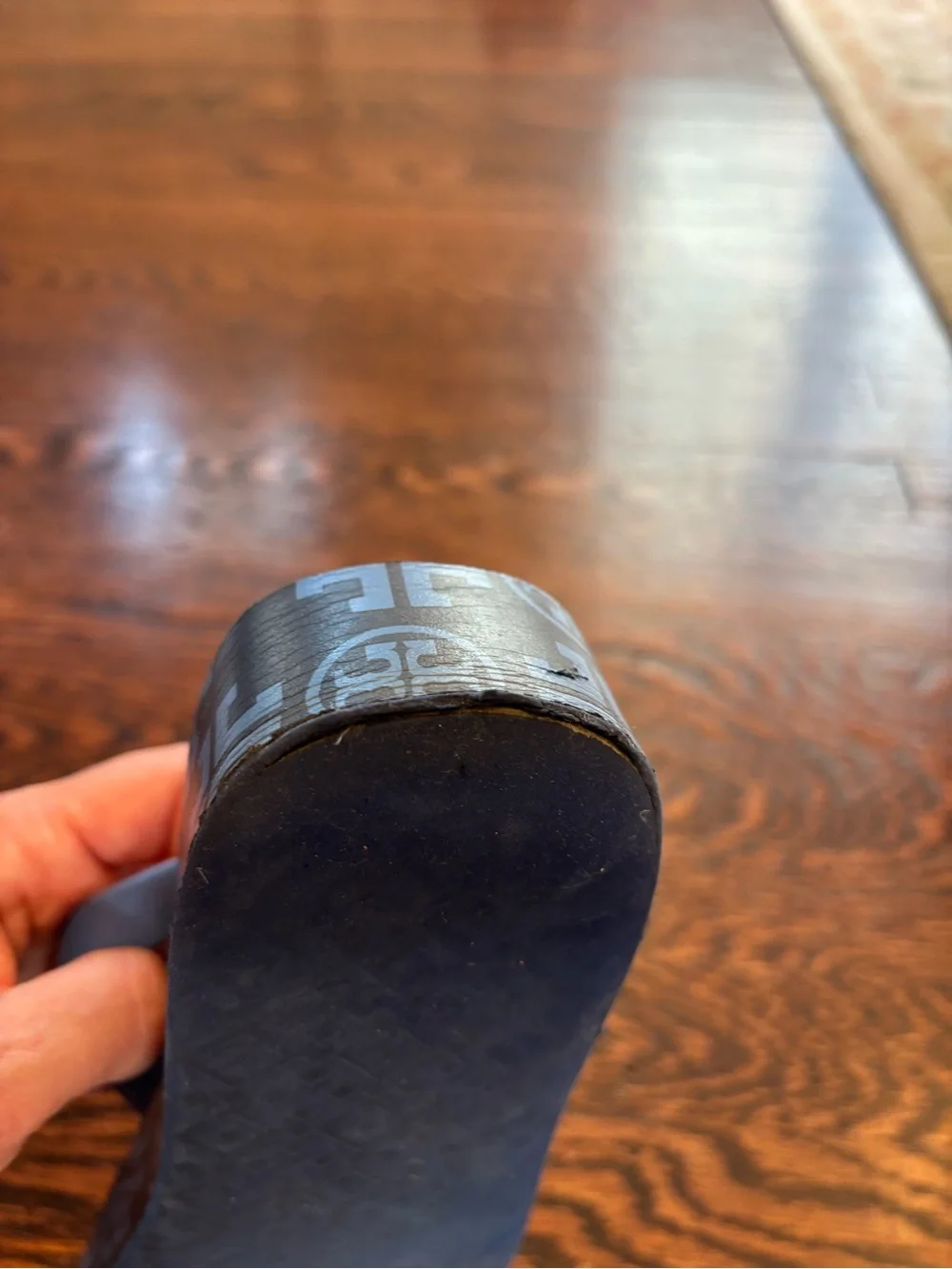 Tory Burch Light Blue Logo Jelly Flip Flops with Gold Emblem